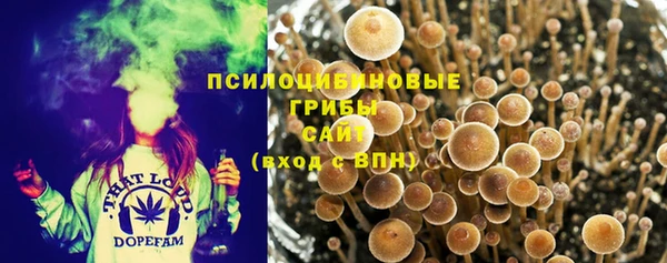 мяу мяу мука Новокубанск