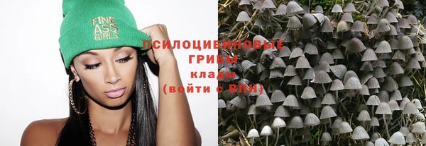 трава Нея