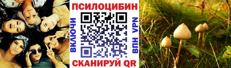 Галлюциногенные грибы Psilocybe  сайты даркнета наркотические препараты  Мурино 