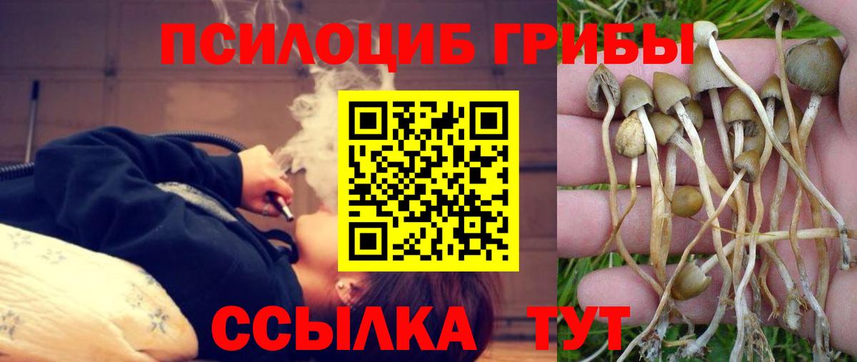Мурино  Псилоцибиновые грибы GOLDEN TEACHER  Вход с VPN 